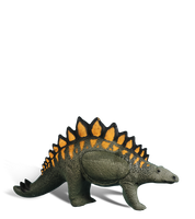 Stegosaurus