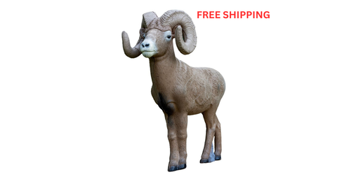 1/2 Scale Bighorn Ram - Blem