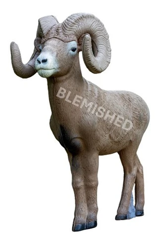 1/2 Scale Bighorn Ram - Blem