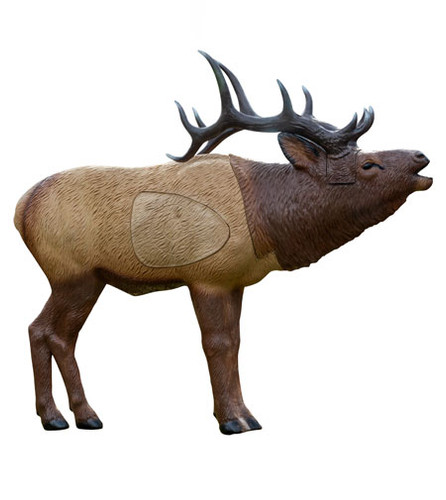 1/3 Scale Elk