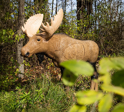 1/3 Scale Moose in the field 1/3 Scale Moose in the field