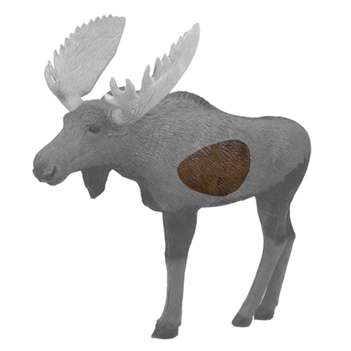1/3 Scale Moose Insert