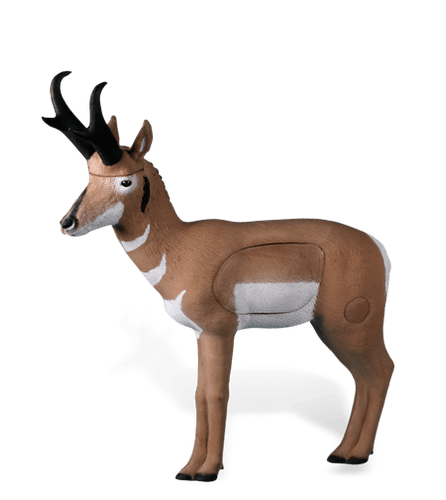 Pronghorn Antelope | 209 Pronghorn Antelope | 209