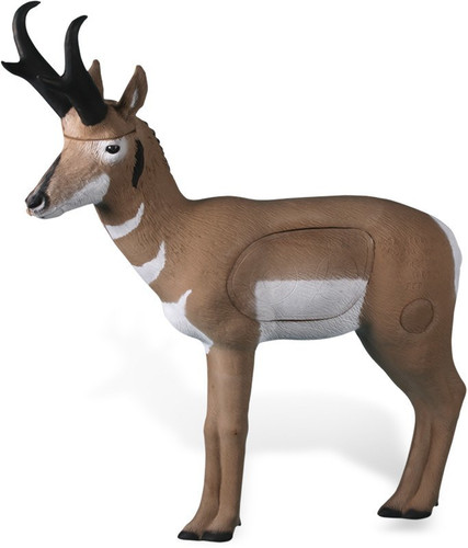 Pronghorn Antelope NASP - Blem Pronghorn Antelope NASP - Blem
