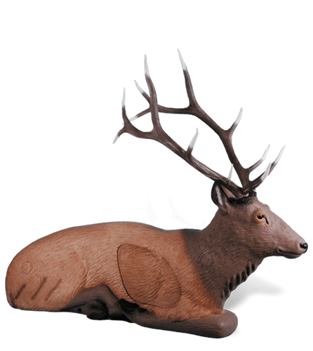 Bedded Elk