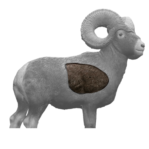 Big Horn Sheep Insert Big Horn Sheep Insert