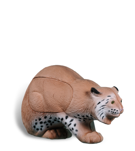 Bobcat Bobcat