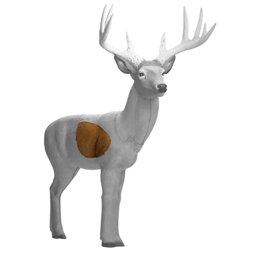 Booner Buck Insert Booner Buck Insert