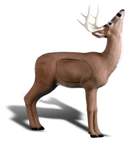 Browsing Buck