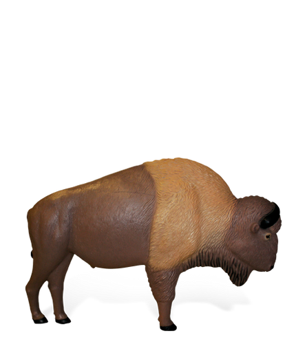 Buffalo