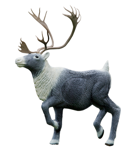 Caribou