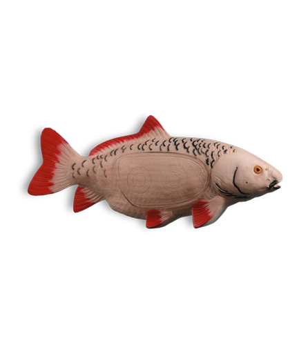 Carp