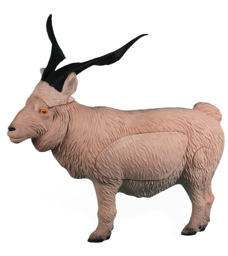Catalina Goat