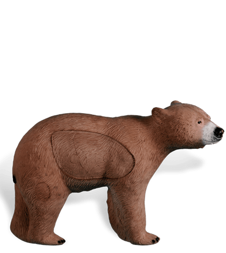 Cinnamon Bear NASP - Blem