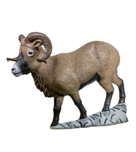 Corsican Ram