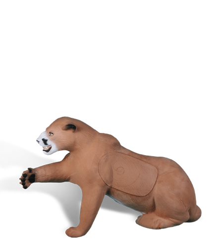 Cougar Cougar