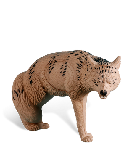 Coyote | 435