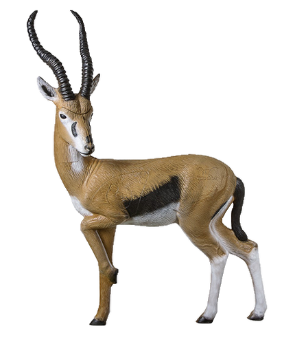 Gazelle Gazelle