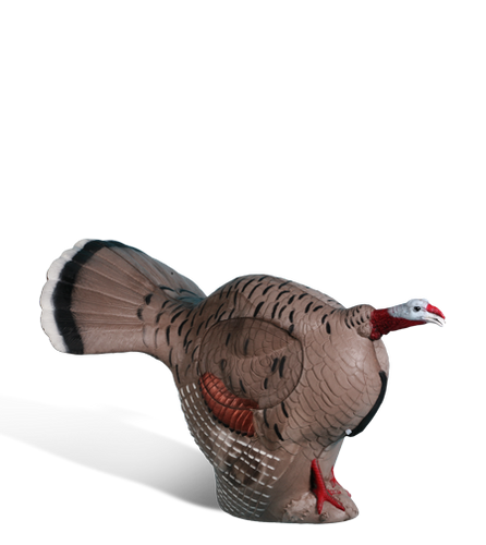 Gobbling Turkey