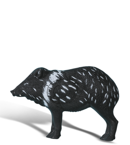 Javelina / Peccary Javelina / Peccary