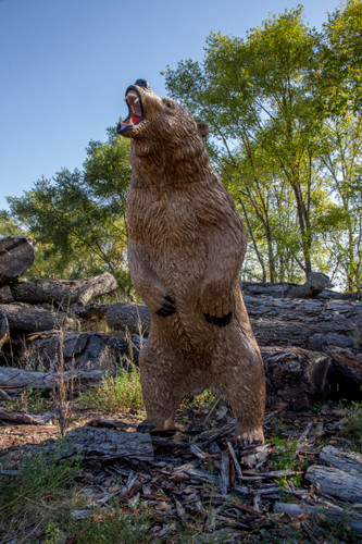 Kodiak Grizzly