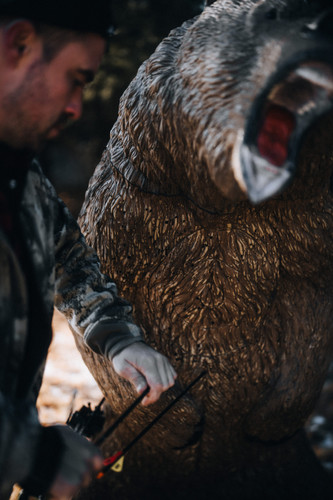 Kodiak Grizzly