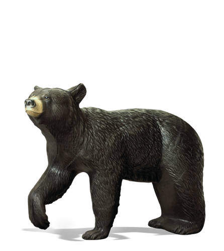 Large Black Bear