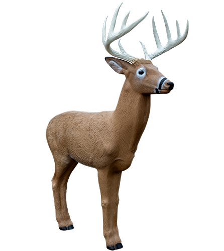 Midwest Buck