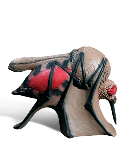 Mosquito IBO