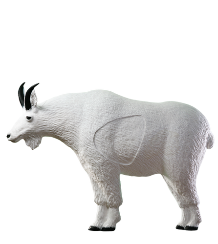 Mountain Goat