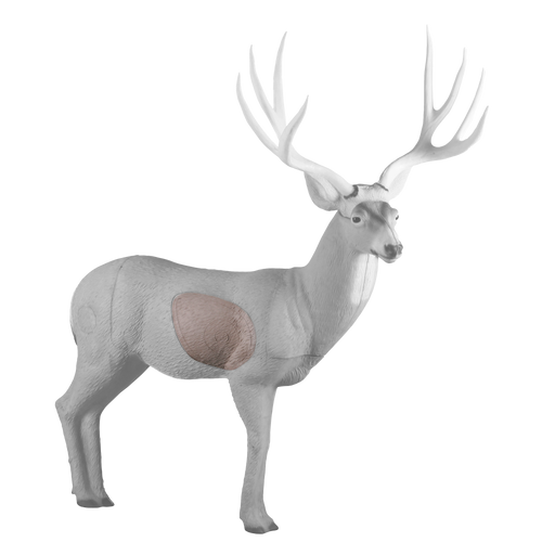 Mule Deer Insert
