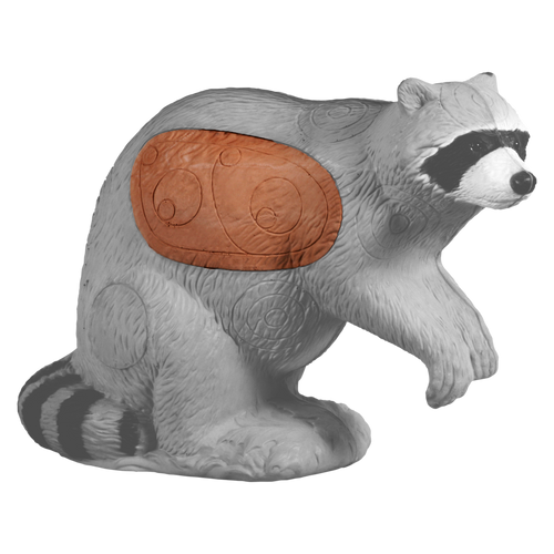 Raccoon Insert Raccoon Insert