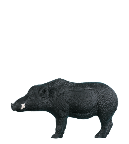 Razorback Boar