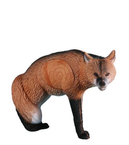 Red Fox