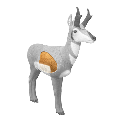 Pronghorn Antelope Insert Pronghorn Antelope Insert