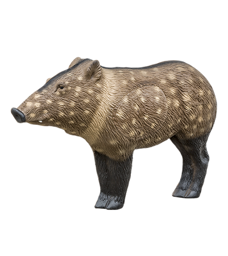 Javelina Target