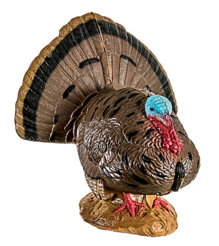 Strutting Turkey Strutting Turkey