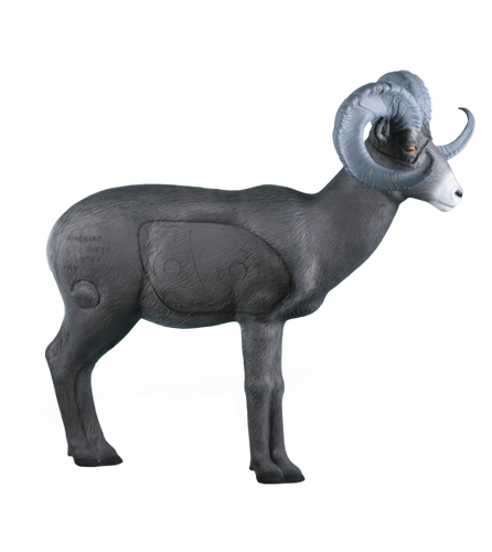 Standing Stone Sheep NASP - Blem Standing Stone Sheep NASP - Blem