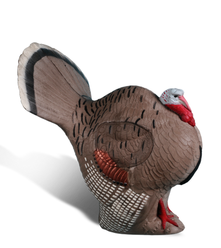 Strutting Turkey