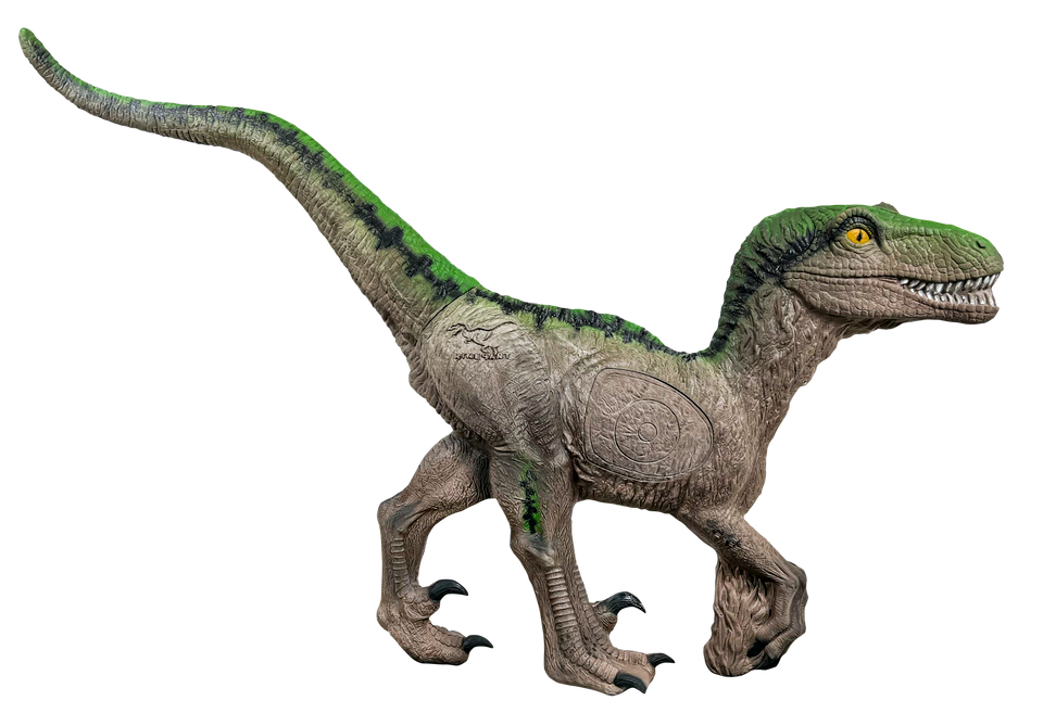 Signature Velociraptor