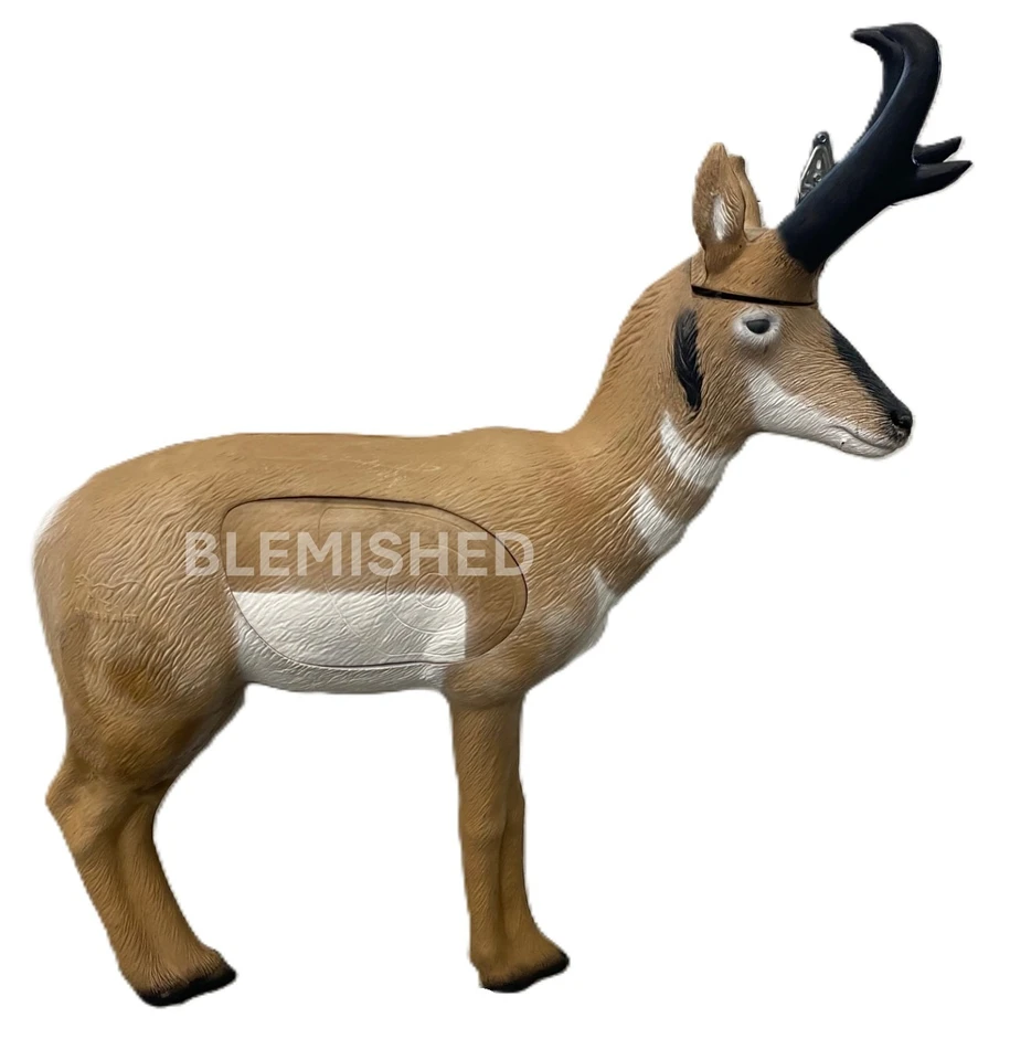 Pronghorn Antelope - Blem