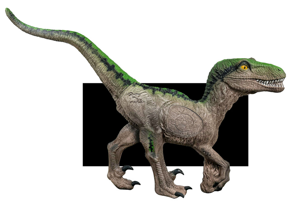Signature Velociraptor Insert