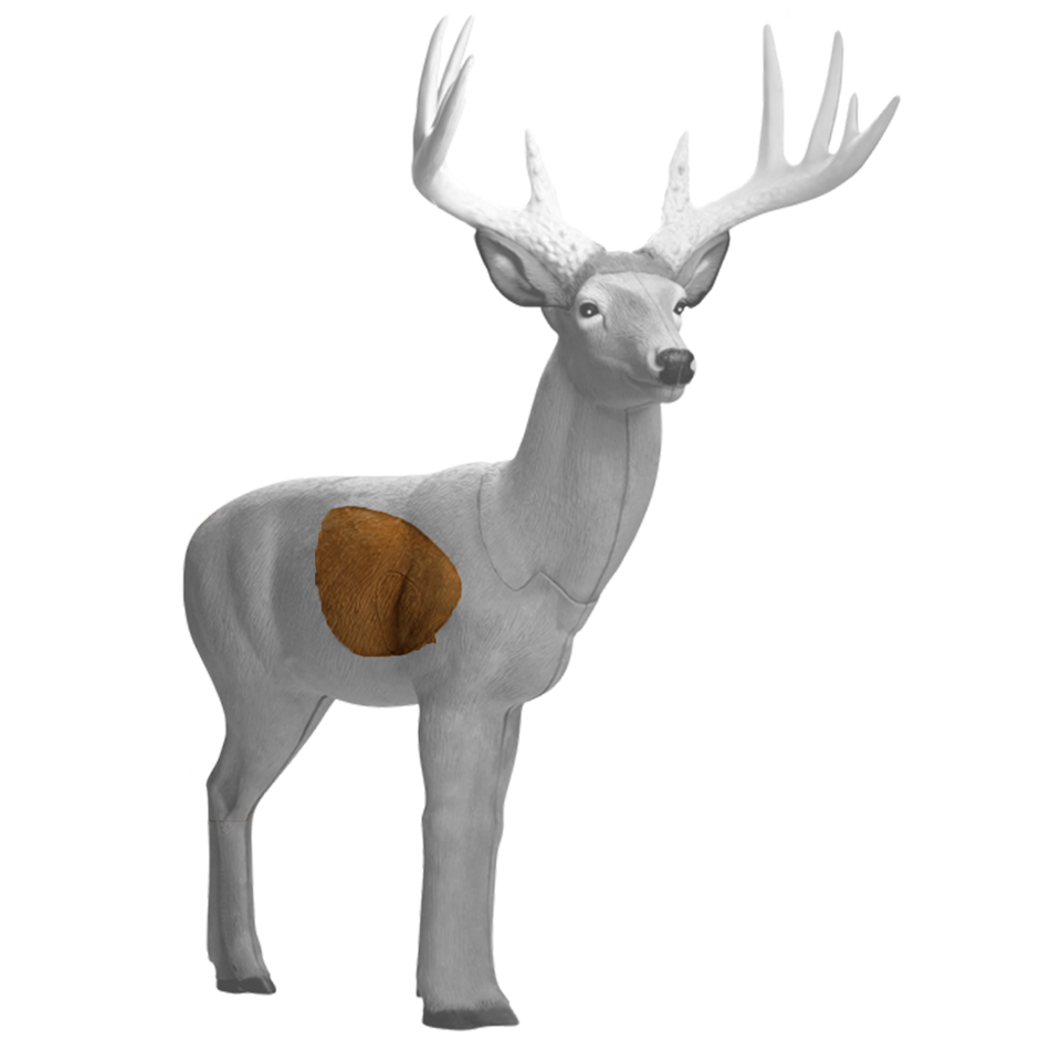 Booner Buck Insert Booner Buck Insert