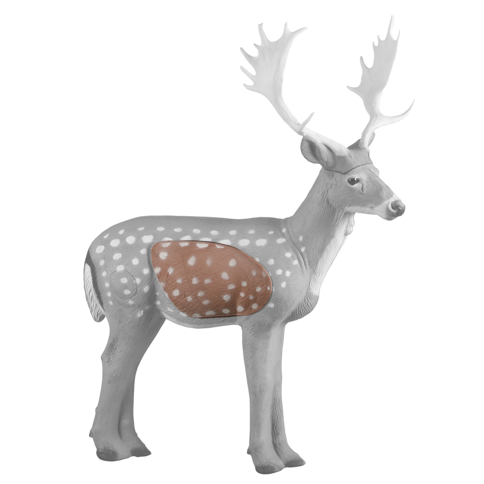 Fallow Deer Insert