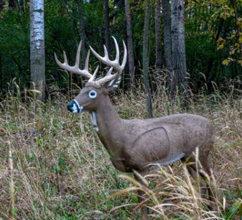 Signature Jimmy Big Tine - Rinehart Targets