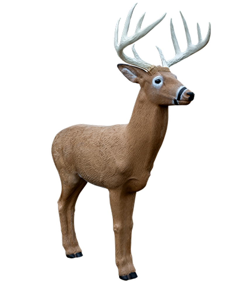 Midwest Buck