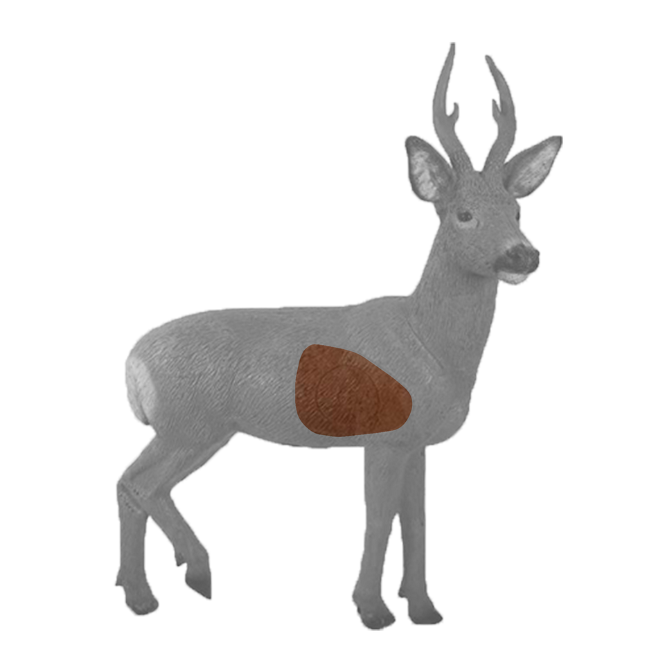 Roe Deer Insert