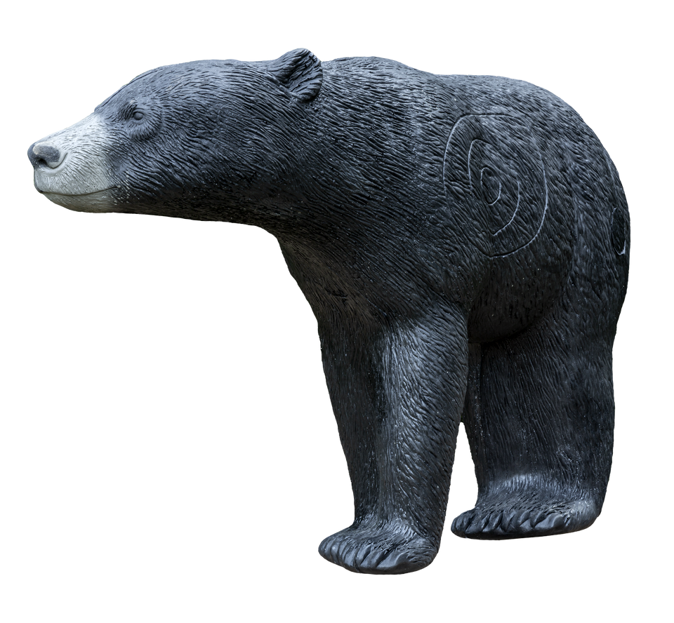 Black Bear - Blem