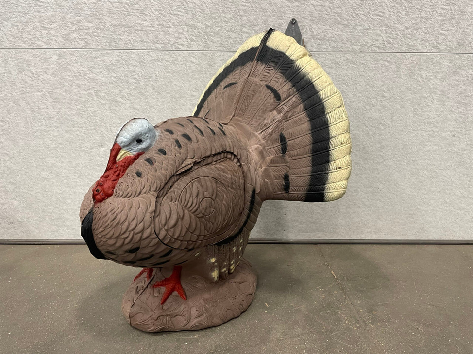 Strutting Turkey - Blem