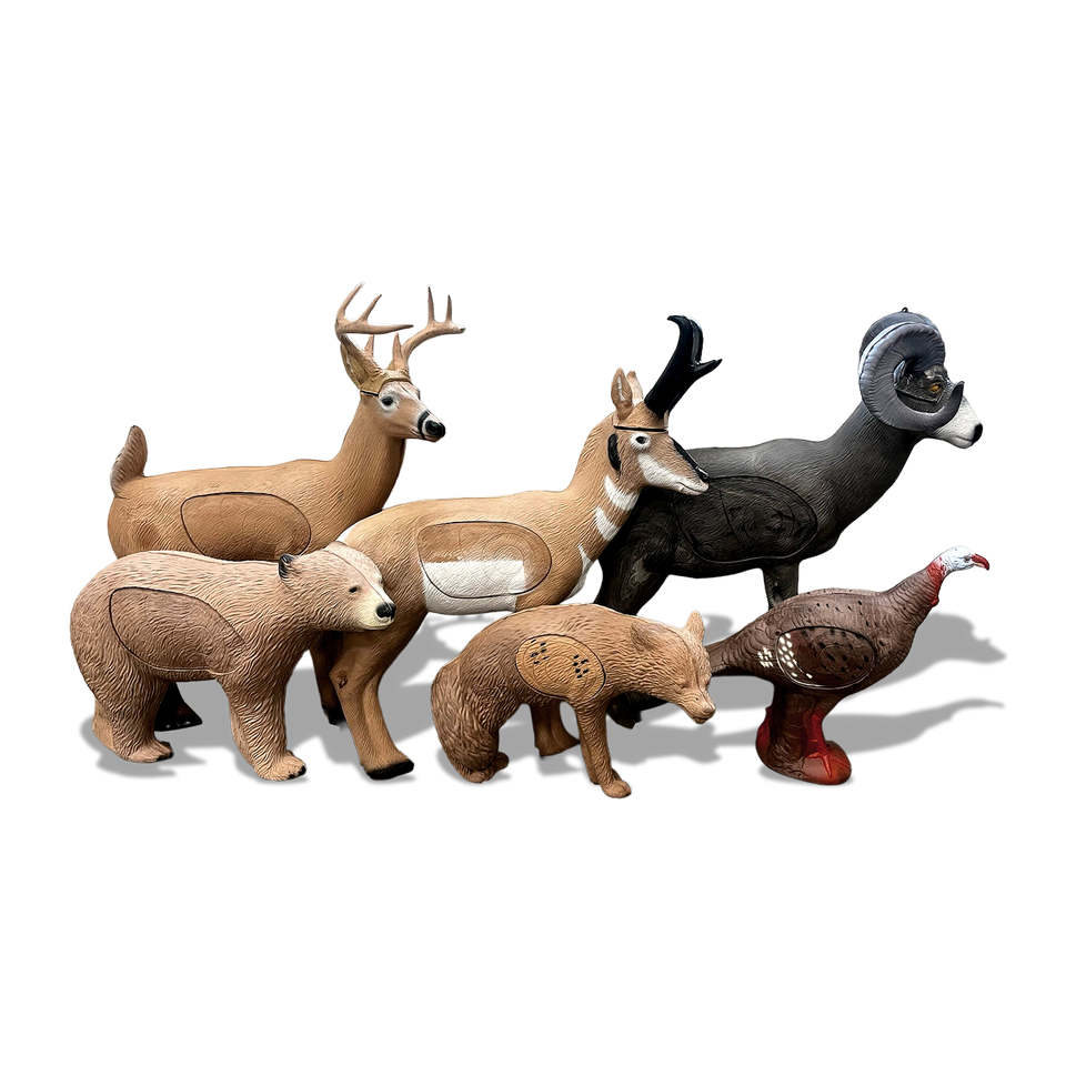 NASP 6 Target Set NASP 6 Target Set